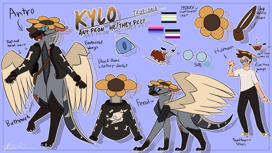 Complicated Reference Sheet